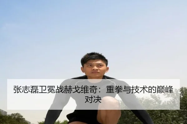 张志磊卫冕战赫戈维奇：重拳与技术的巅峰对决