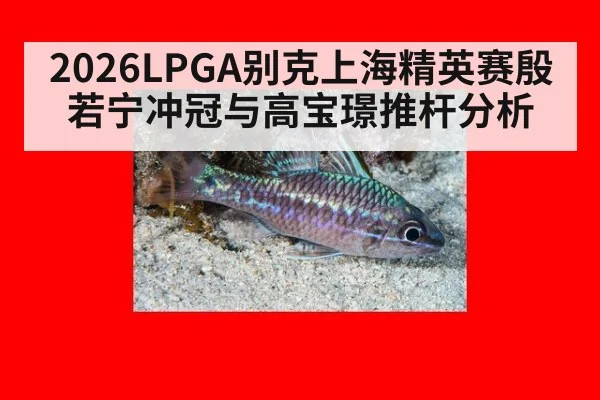 2026LPGA别克上海精英赛殷若宁冲冠与高宝璟推杆分析
